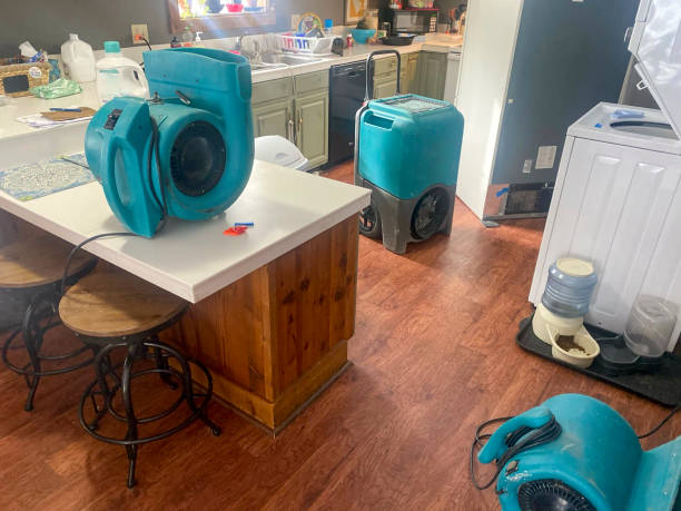 Best Professional water damage repair  in Prosser, WA