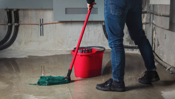 Best Basement water damage restoration  in Prosser, WA