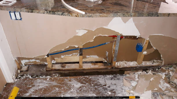 Best Carpet water damage restoration  in Prosser, WA