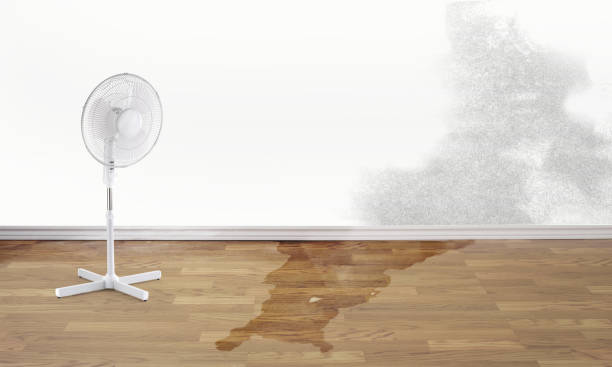Best Water damage restoration near me  in Prosser, WA