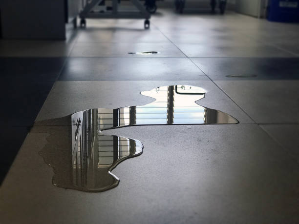 Best 24/7 water damage repair  in Prosser, WA