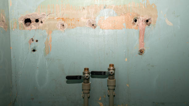 Best Water damage cleanup near me  in Prosser, WA
