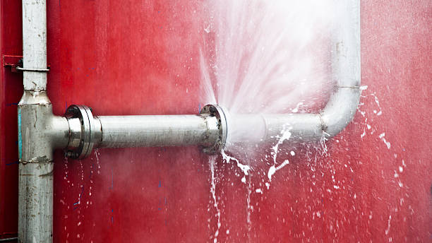 Best Local water damage restoration  in Prosser, WA